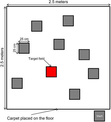 Negative Effects of Embodiment in a Visuo-Spatial Working Memory Task in Children, Young Adults, and Older Adults